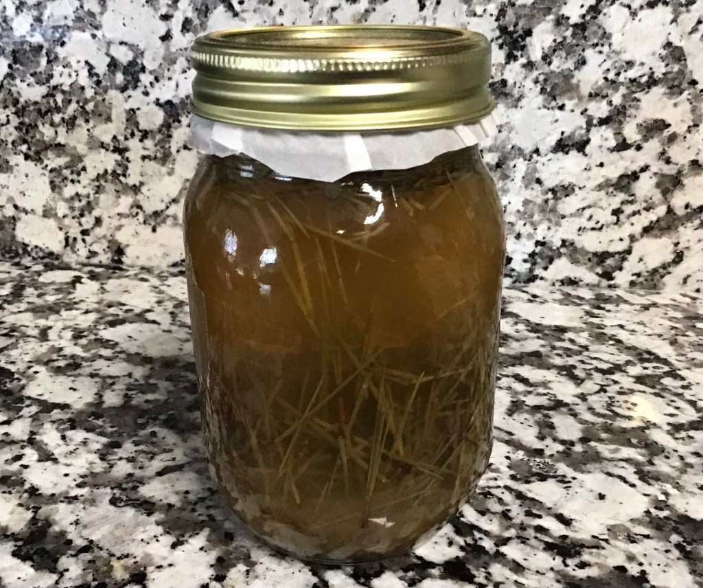 Pine Needle Oxymel